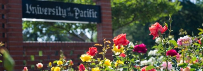<strong>University of the Pacific - International Law</strong>