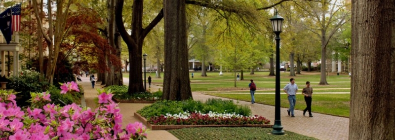 University of South Carolina - International Business