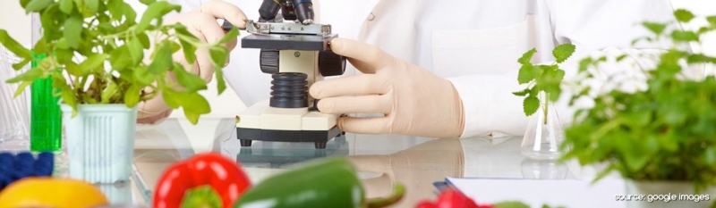 4 Keseruan Belajar Biologi