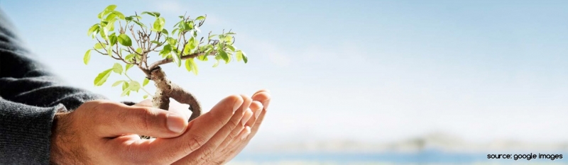 Jurusan Enviromental Science atau Ilmu Lingkungan Hidup