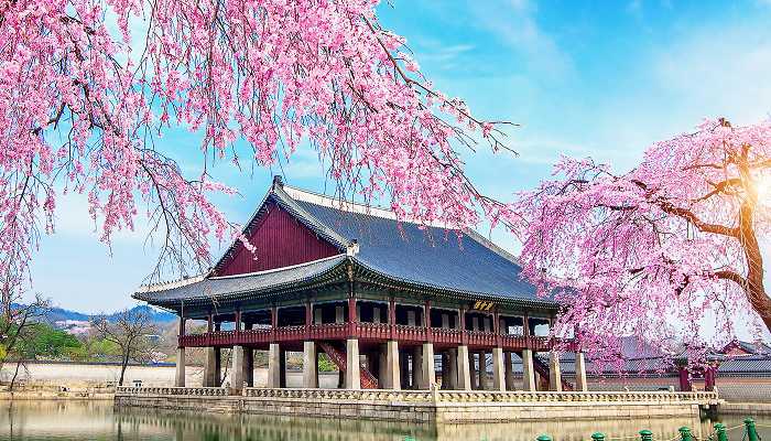 Lengkap, Biaya Kuliah dan Hidup di New Zealand