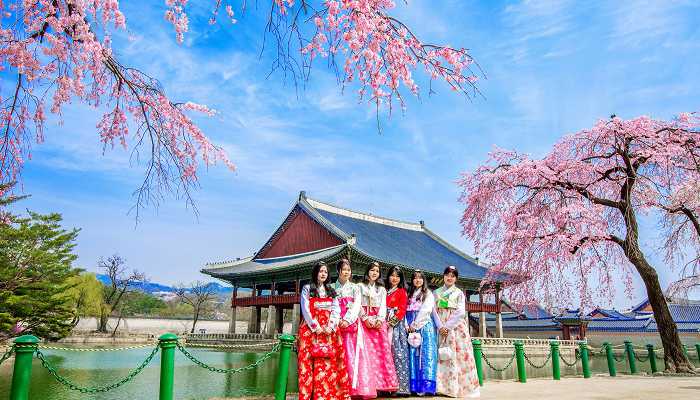 Lengkap, Biaya Kuliah dan Hidup di New Zealand