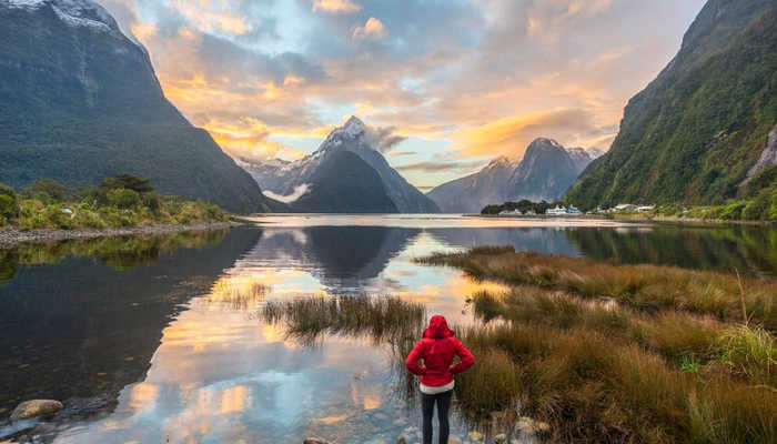 Kota Paling Ramah Pelajar di New Zealand 