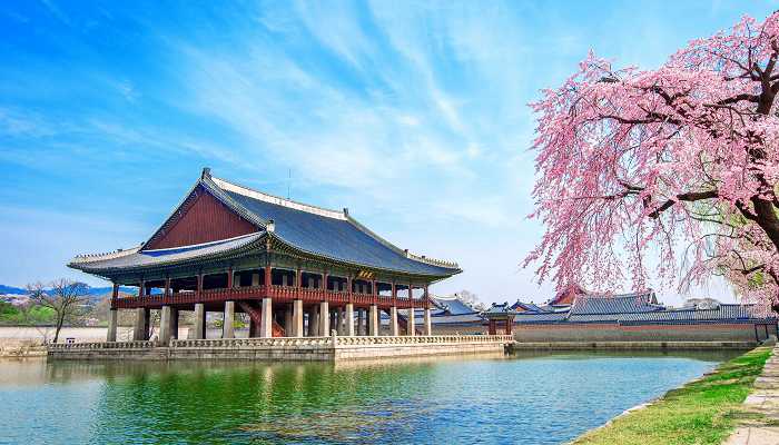 Apakah Universitas di Korea Ada Skripsi? Simak Penjelasannya