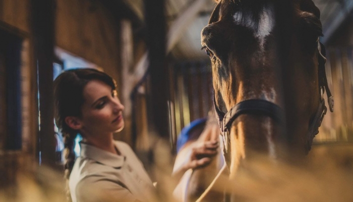 Equine Studies