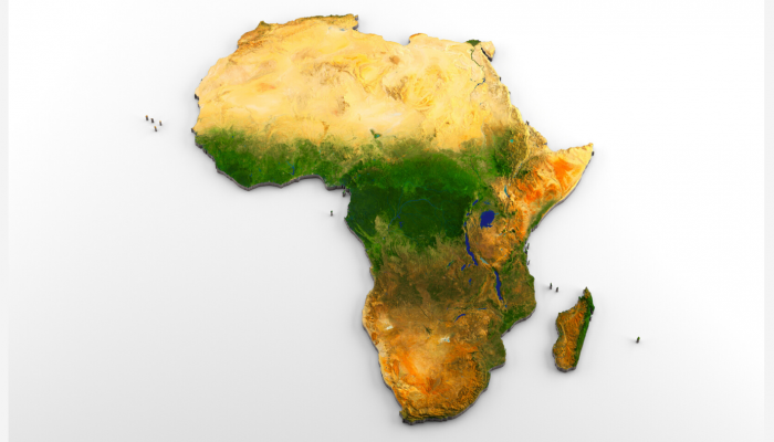 African Language, Literature, and Linguistics