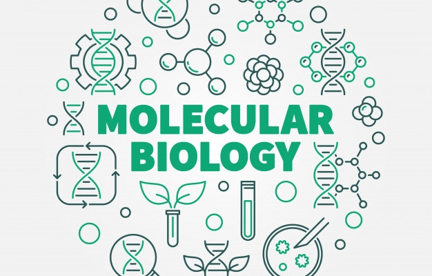 Molecular Biology