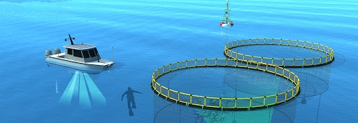 Aquaculture