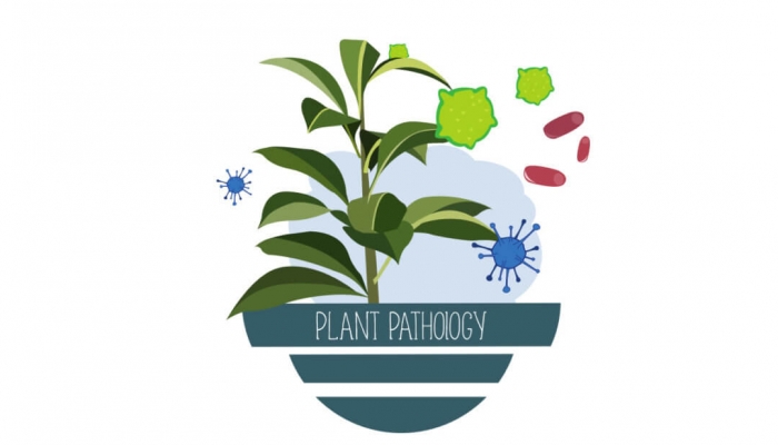 Plant Pathology