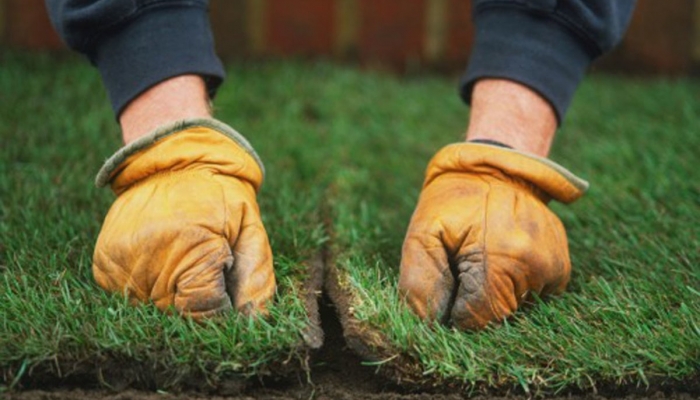 Turfgrass Science