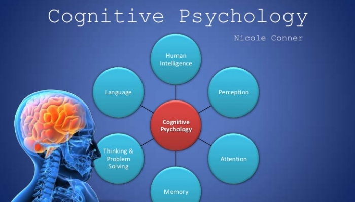 Cognitive Psychology