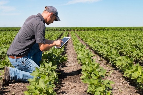 Agricultural Journalism